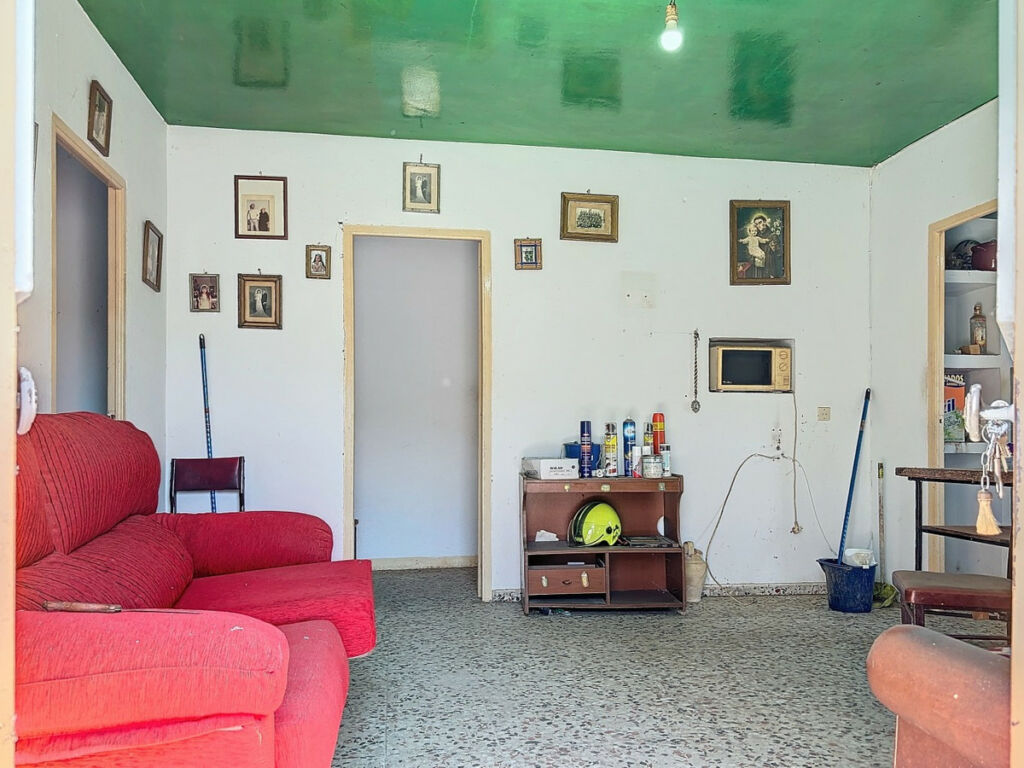 Finca - Cortijo Comares Málaga - image 6