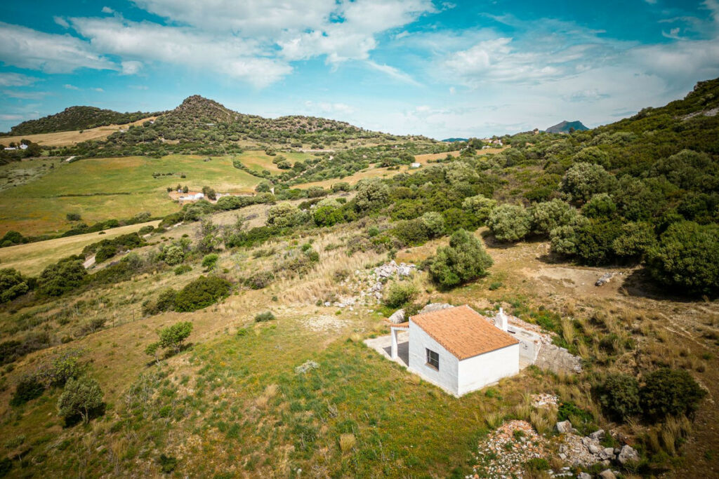 Finca - Cortijo Casares Málaga - image 6