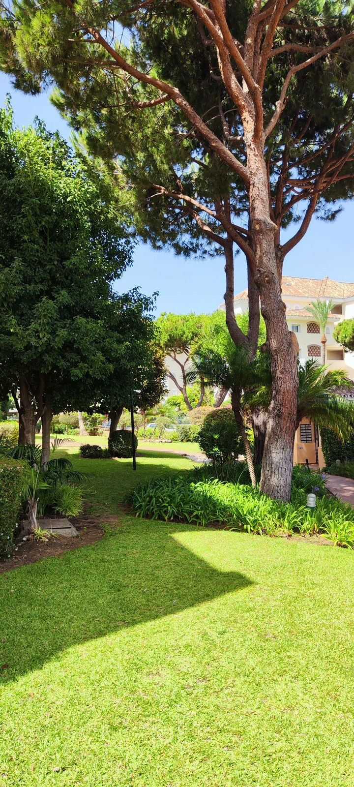 Ground Floor Apartment Elviria Málaga - image 6