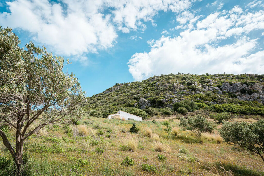 Finca - Cortijo Casares Málaga - image 7