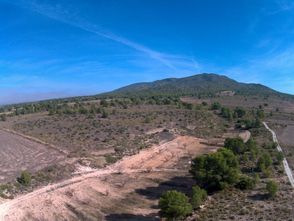 Land Yecla Murcia - image 7