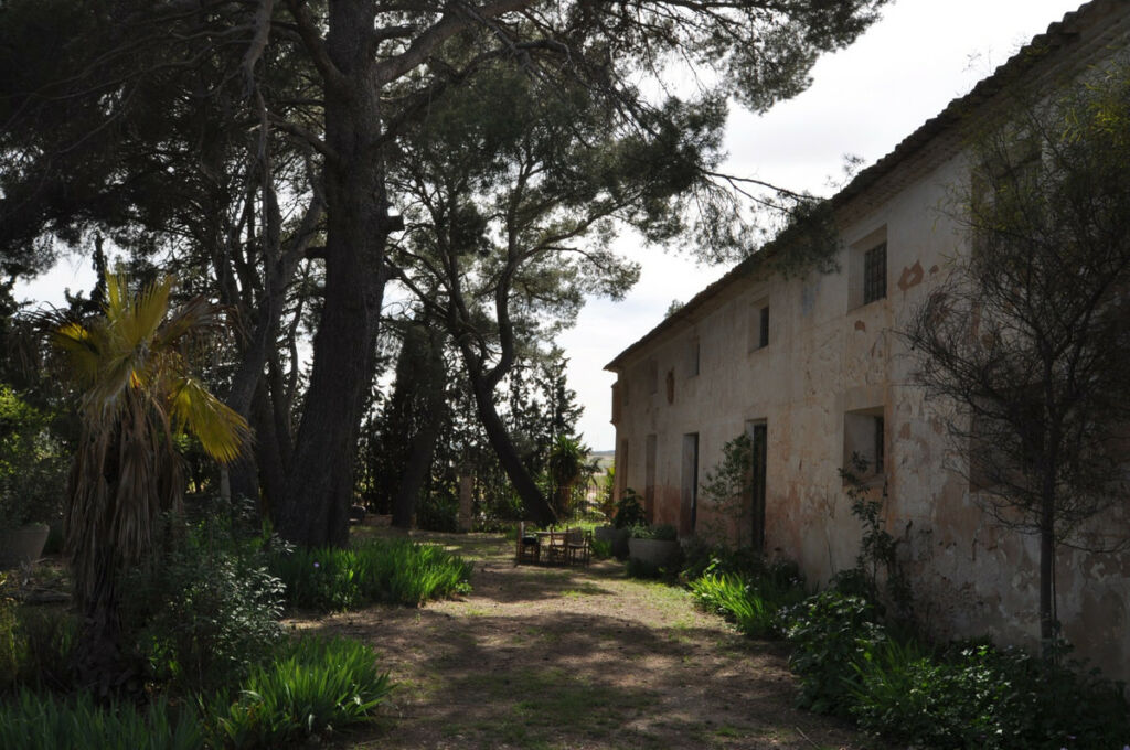 Finca - Cortijo Yecla Murcia - image 7