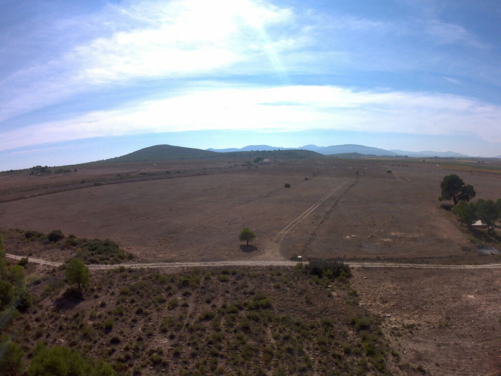 Land Yecla Murcia - image 8
