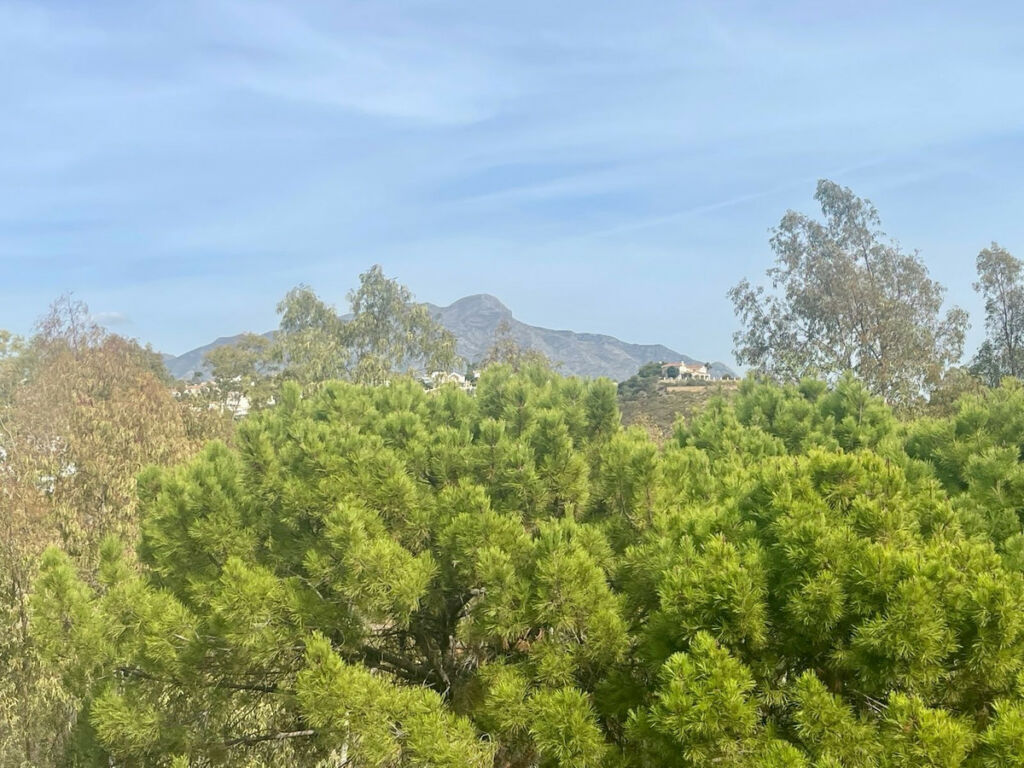 Penthouse Benahavís Málaga - image 8