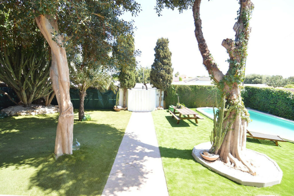 Bungalow Torrevieja Alicante - image 8