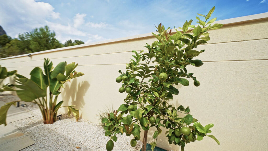 Bungalow Polop Alicante - image 9
