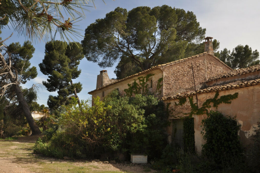 Finca - Cortijo Yecla Murcia - image 9