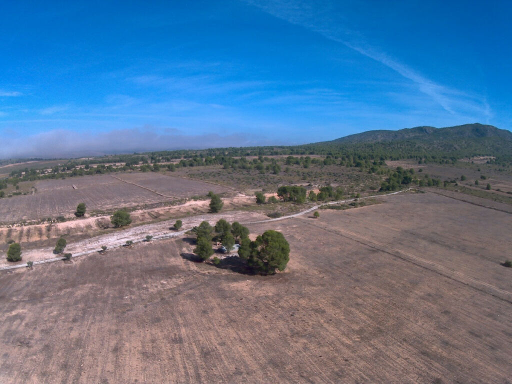 Land Yecla Murcia - image 9
