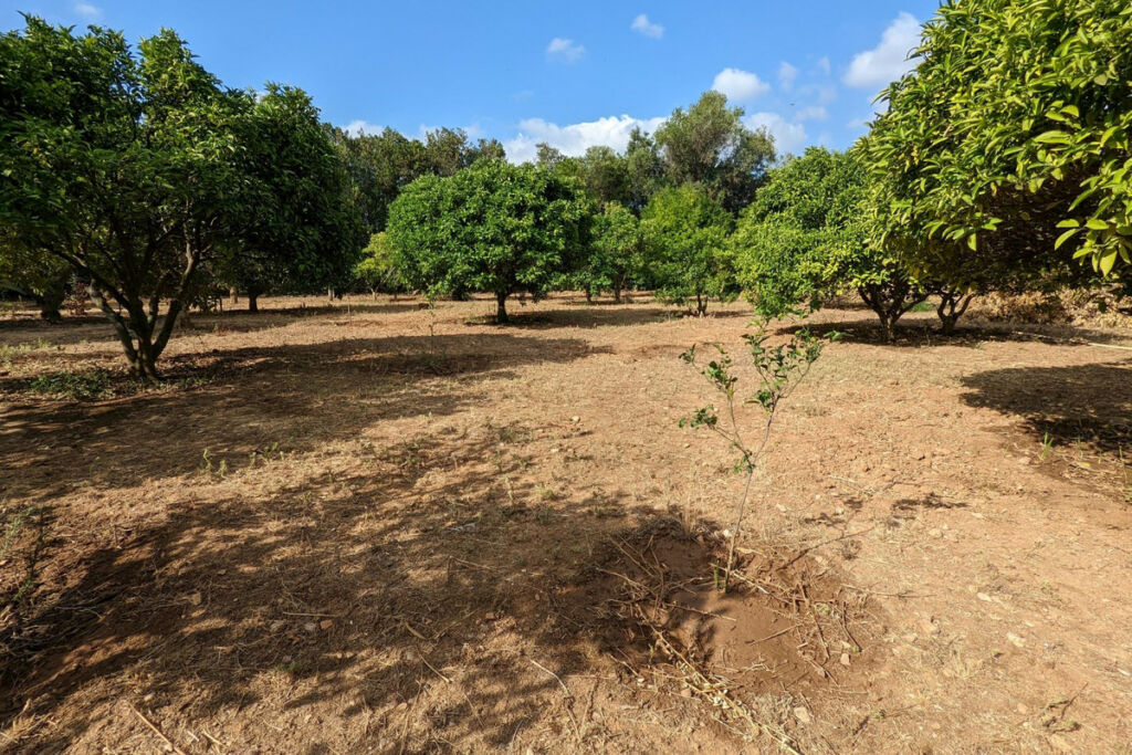 Residential Plot Denia Alicante