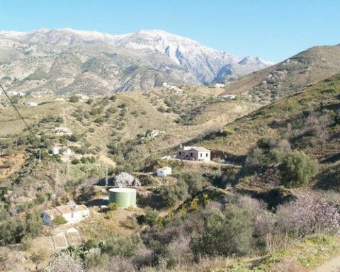 Finca - Cortijo Canillas de Aceituno Málaga