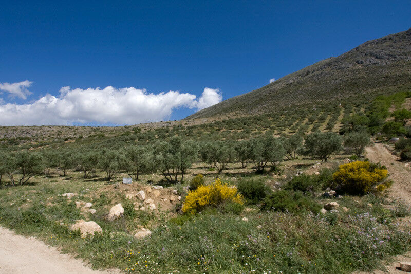 Land Periana Málaga
