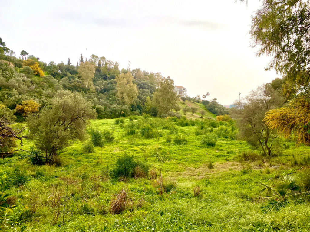 Residential Plot Benahavís Málaga