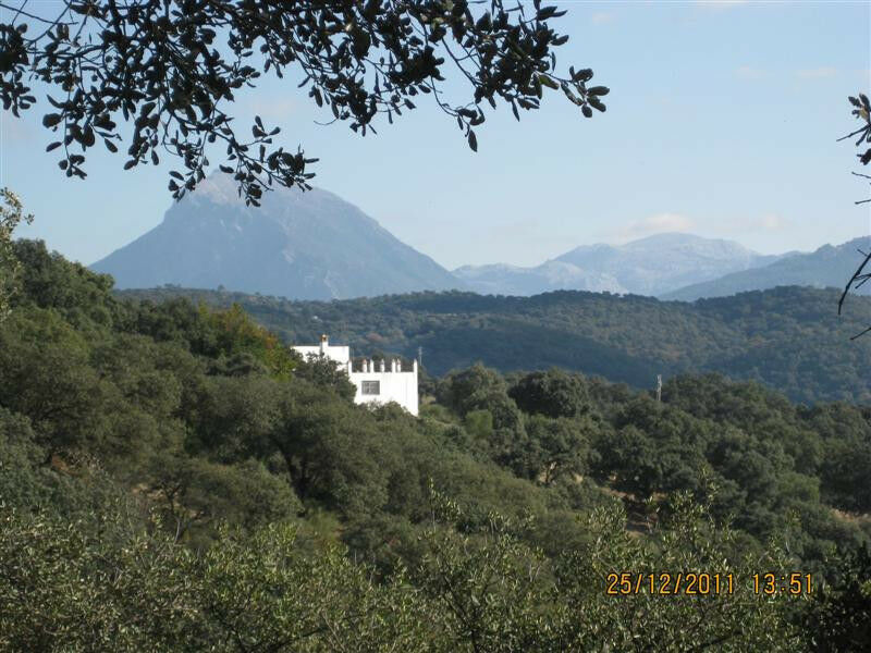 Finca - Cortijo Arcos de la Frontera Cádiz