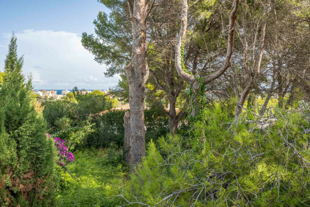 Land Javea Alicante