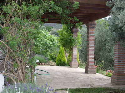 Finca - Cortijo Canillas de Aceituno Málaga
