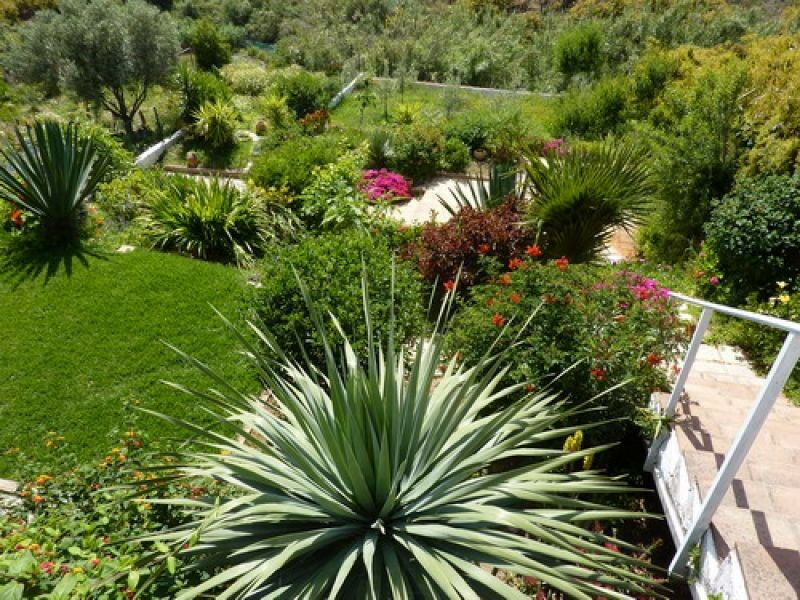 Detached Villa Almayate Málaga