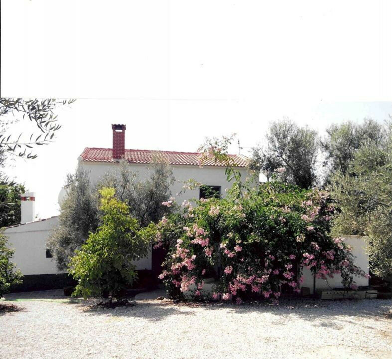 Finca - Cortijo Periana Málaga