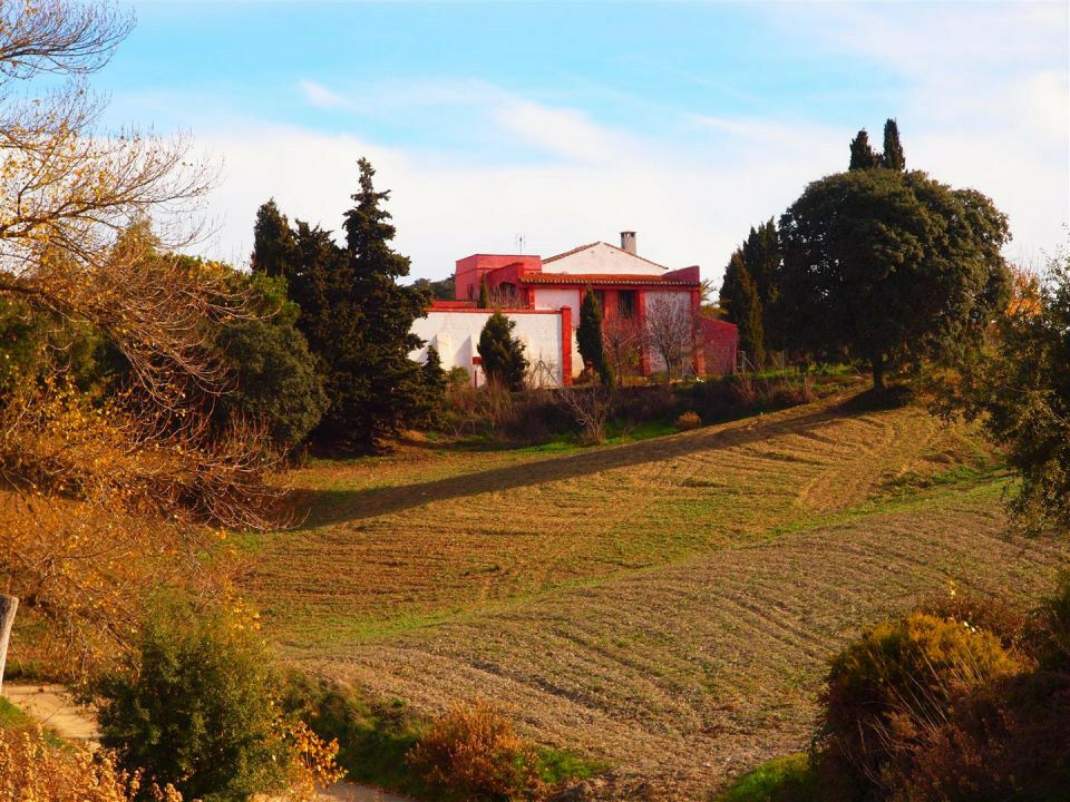 Finca - Cortijo Alcaucín Málaga