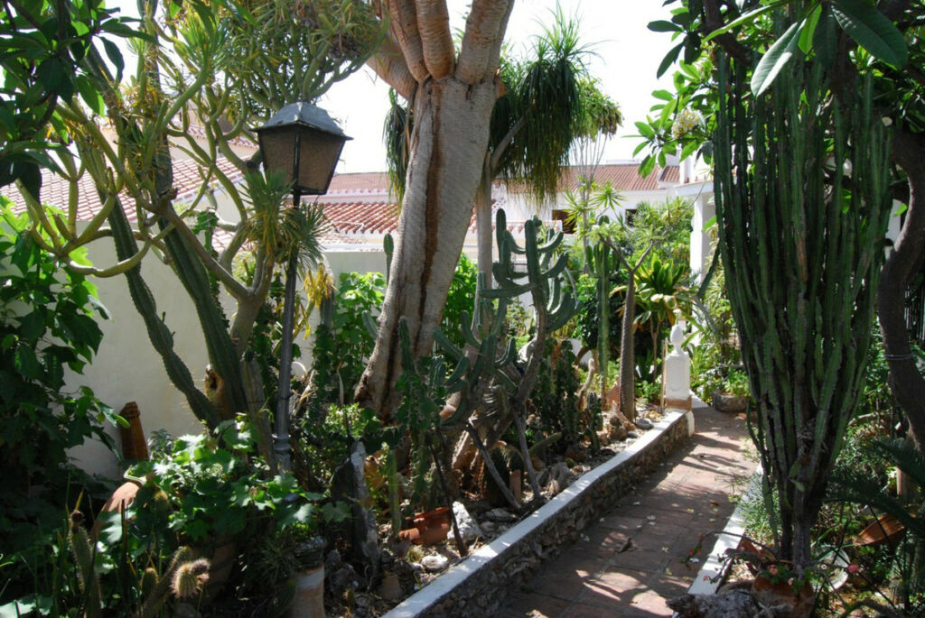Detached Villa Nerja Málaga - image 10