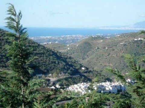 Detached Villa Sayalonga Málaga - image 10