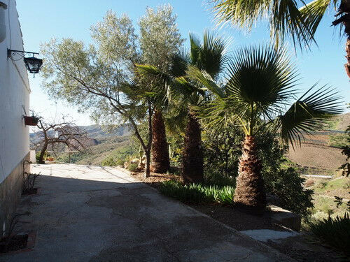 Finca - Cortijo Iznate Málaga - image 10