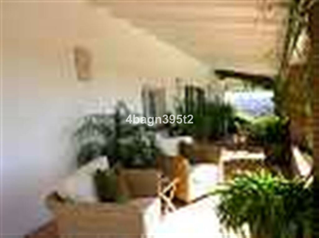 Detached Villa Sedella Málaga - image 10