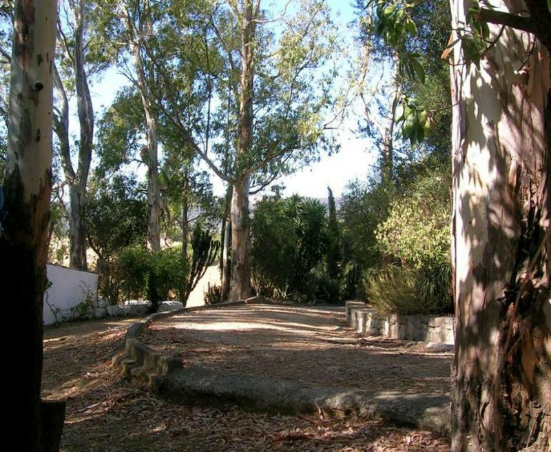 Finca - Cortijo Jimena de la Frontera Cádiz - image 10