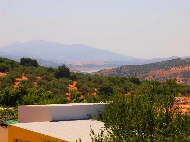 Finca - Cortijo Periana Málaga - image 10