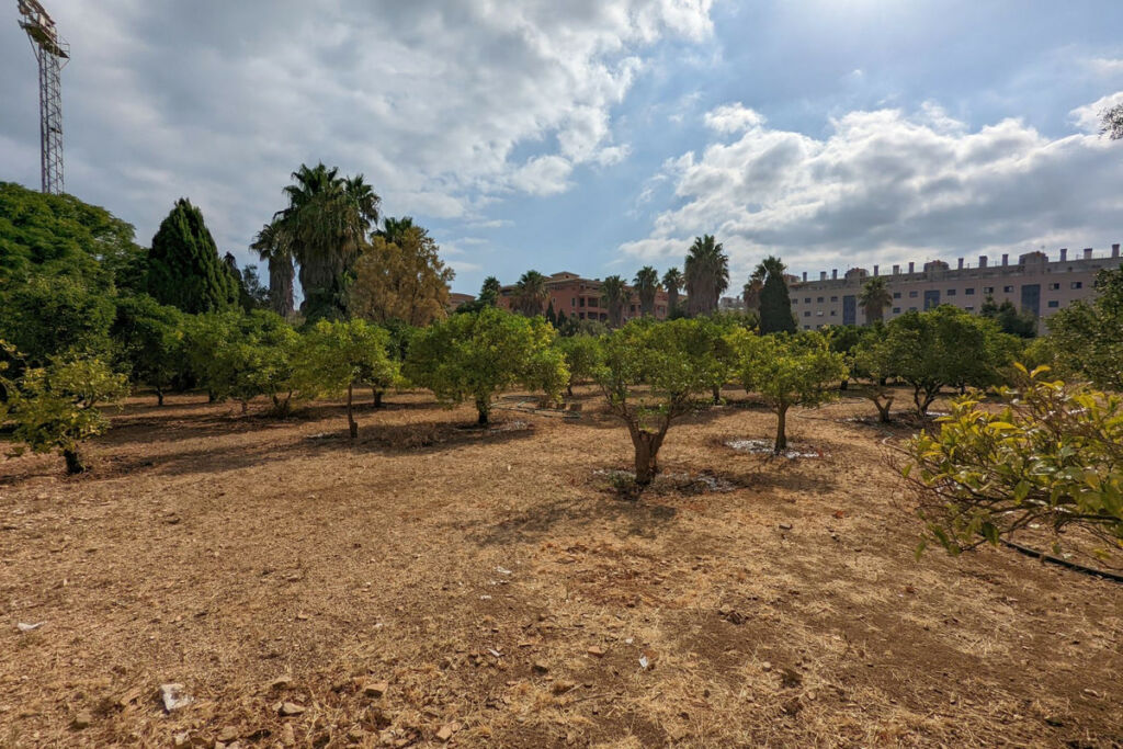 Residential Plot Denia Alicante - image 11