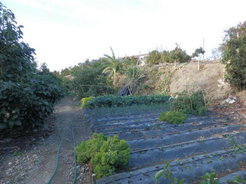 Detached Villa Vélez-Málaga Málaga - Bild 10