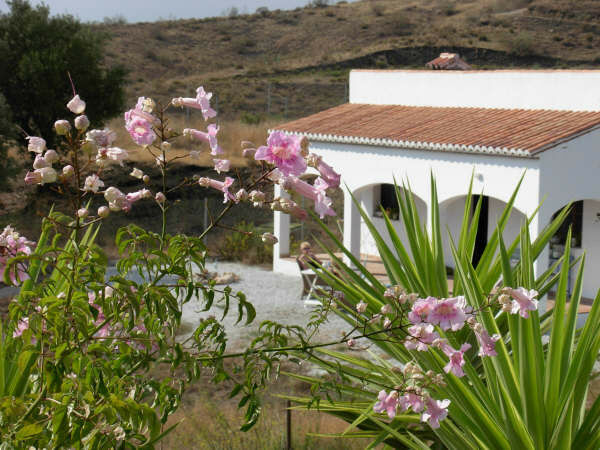 Detached Villa Vélez-Málaga Málaga - image 10