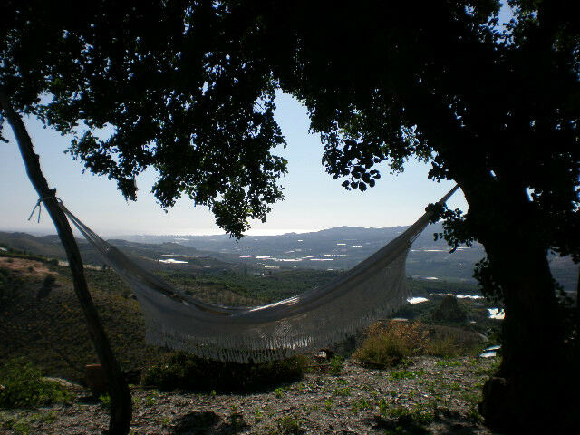 Finca - Cortijo Vélez-Málaga Málaga - image 10