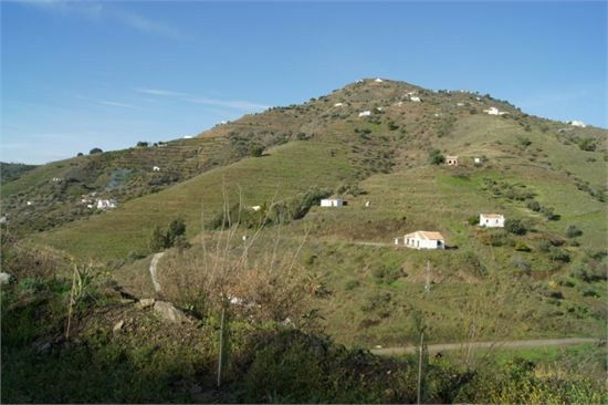 Finca - Cortijo Cómpeta Málaga - image 10