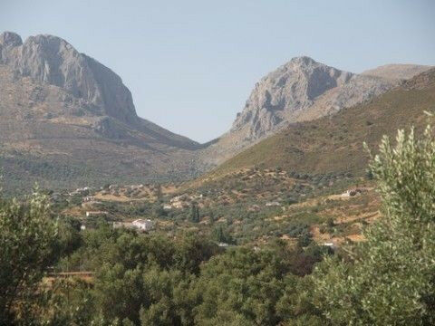 Detached Villa Alcaucín Málaga - image 10