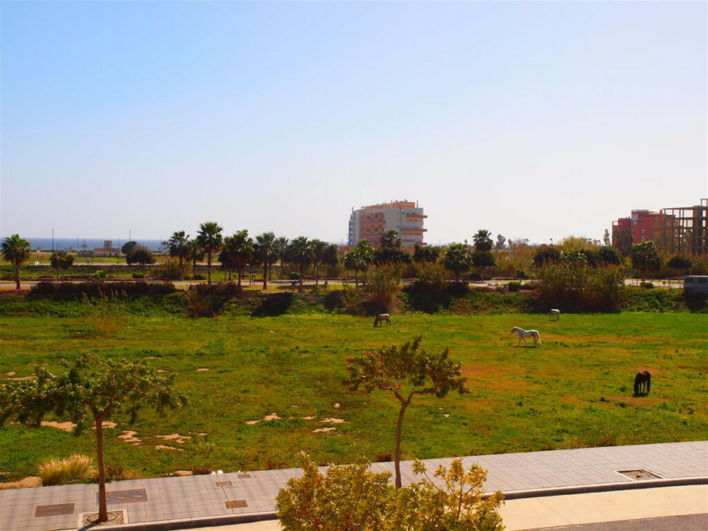 Middle Floor Apartment Torre del Mar Málaga - image 10