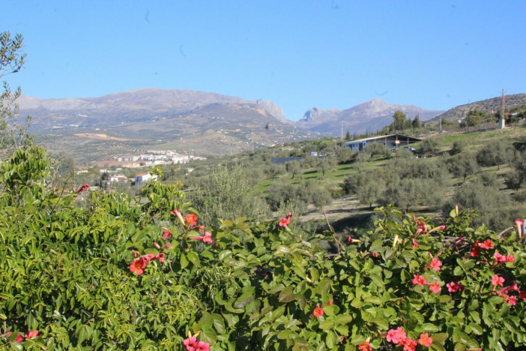 Detached Villa La Viñuela Málaga - image 10