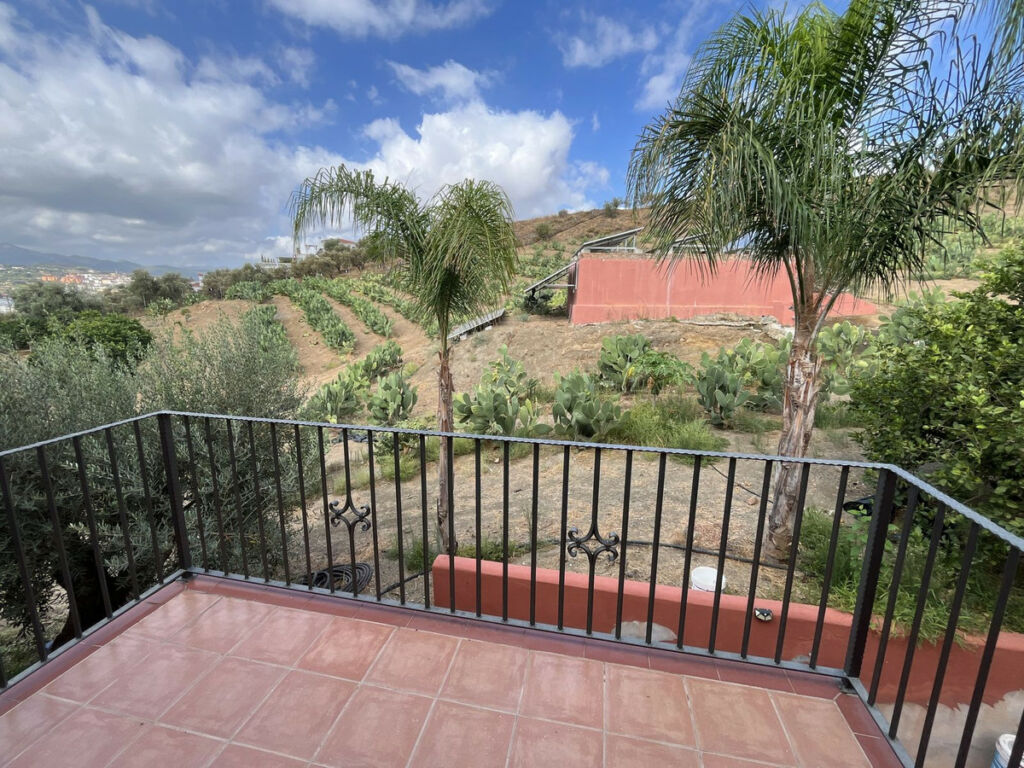 Finca - Cortijo Coín Málaga - image 10