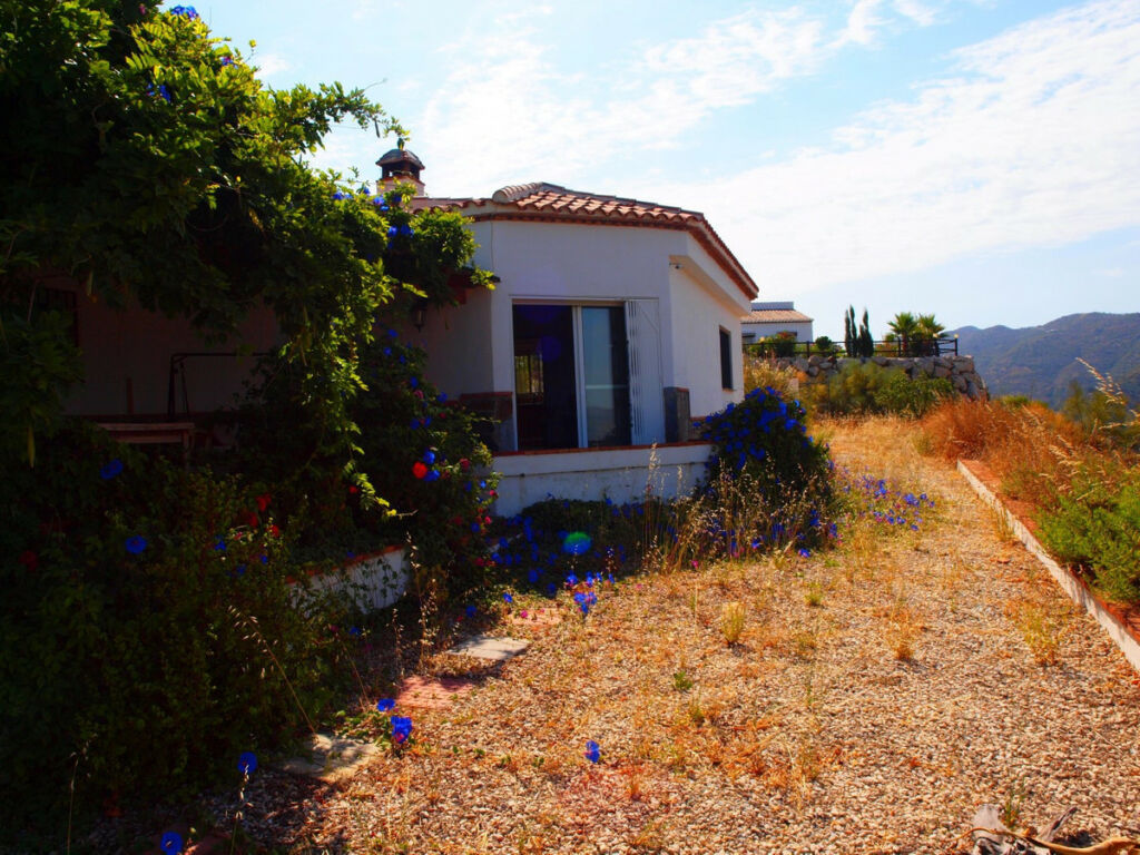 Detached Villa Canillas de Aceituno Málaga - image 10