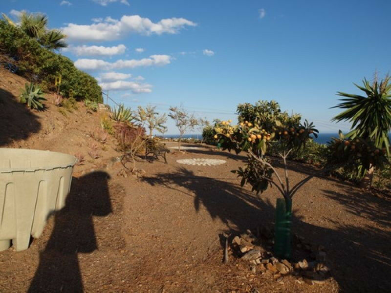 Detached Villa Benajarafe Málaga - image 10