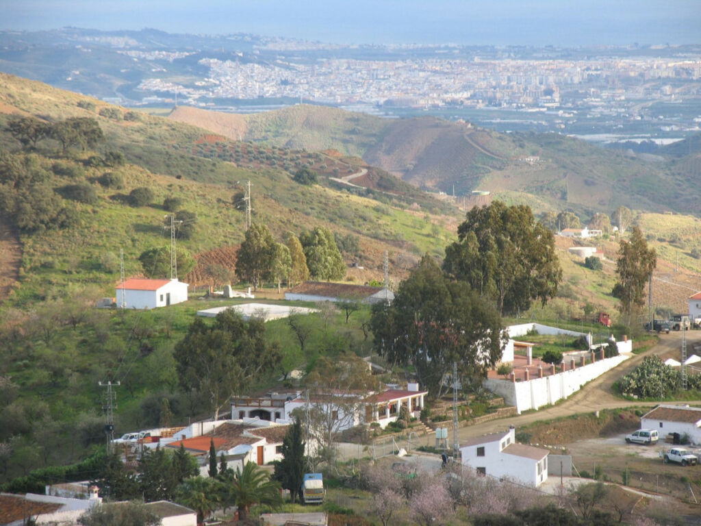Finca - Cortijo Triana Málaga - image 10