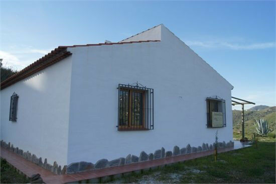 Finca - Cortijo Cómpeta Málaga - image 11