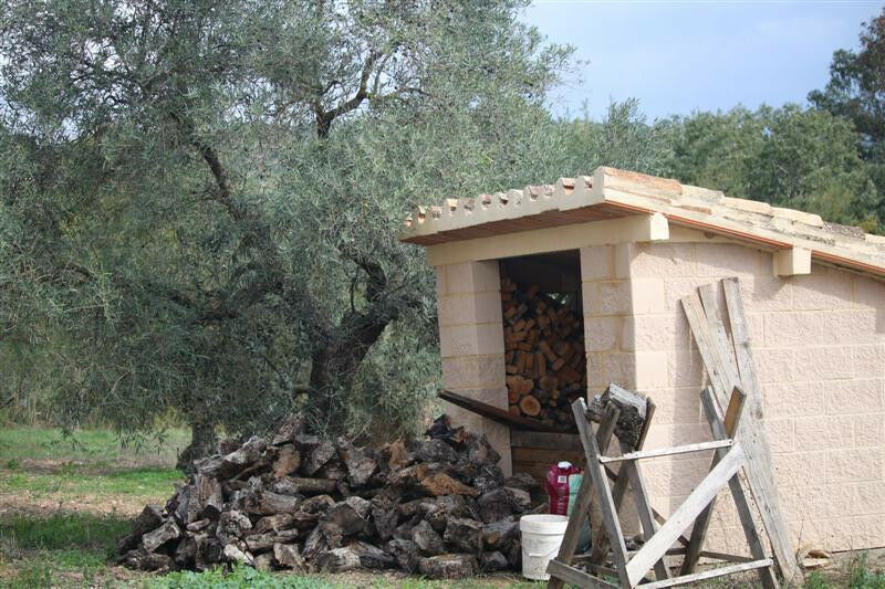 Finca - Cortijo Algodonales Cádiz - image 11