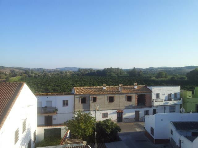 Detached Villa Jimena de la Frontera Cádiz - image 11