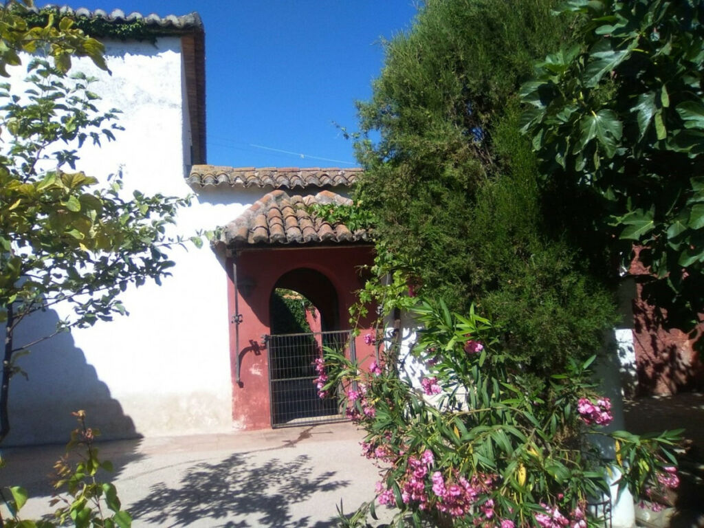 Finca - Cortijo Alcaucín Málaga - image 11