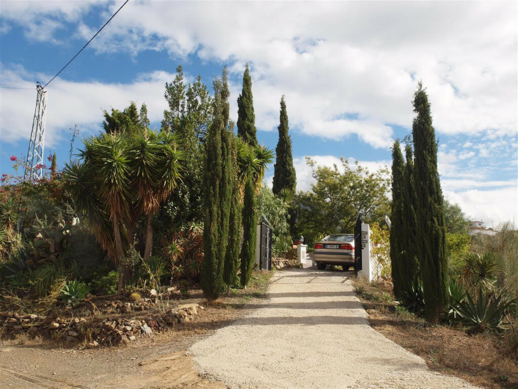 Finca - Cortijo Canillas de Aceituno Málaga - image 11