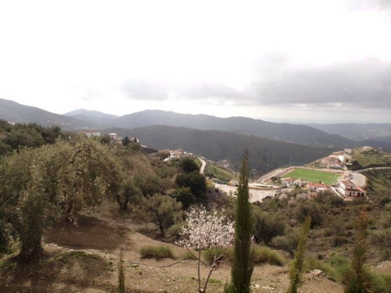 Detached Villa Canillas de Aceituno Málaga - image 11