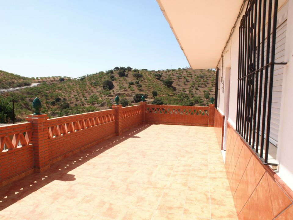 Finca - Cortijo La Viñuela Málaga - image 11