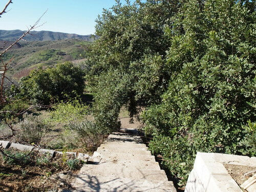 Finca - Cortijo Iznate Málaga - image 11
