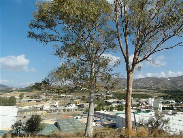 Finca - Cortijo Vélez-Málaga Málaga - image 11