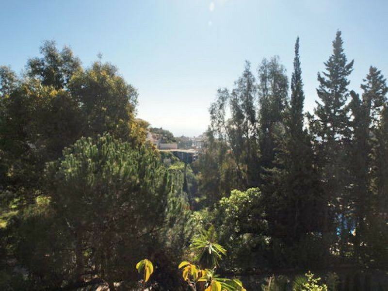 Detached Villa Benagalbon Málaga - image 12